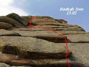 South side of Little John's Tower: Baobab Tree